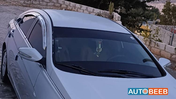 هيونداي سوناتا 2010