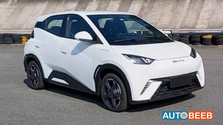 بي واي دي سيجول 2024