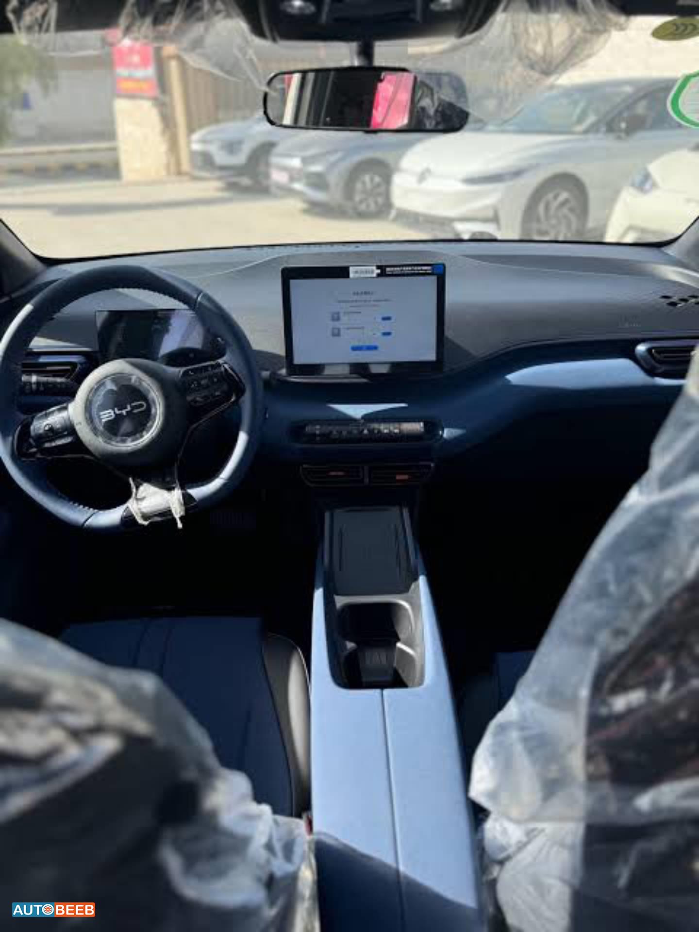 بي واي دي سيجول 2024