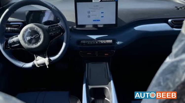 بي واي دي سيجول 2024