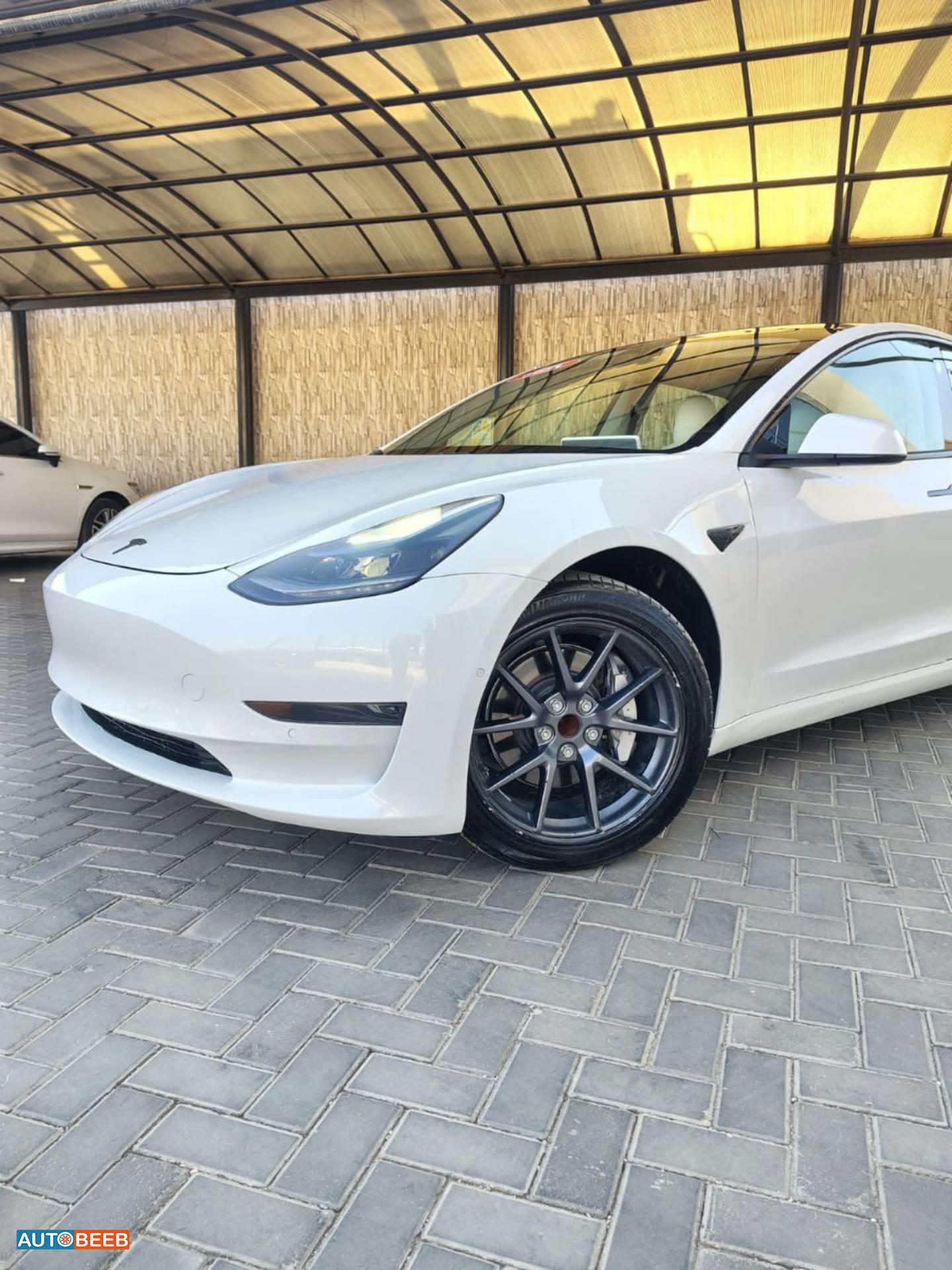 Tesla 3 2021