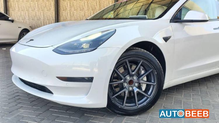 Tesla 3 2021
