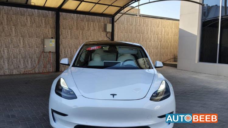 Tesla 3 2021