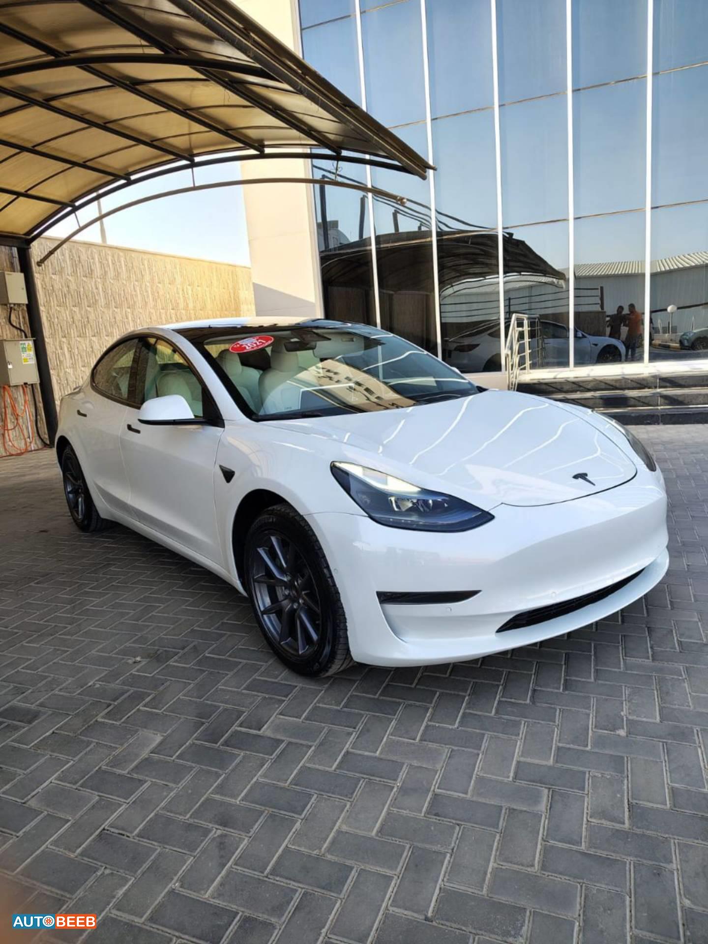Tesla 3 2021