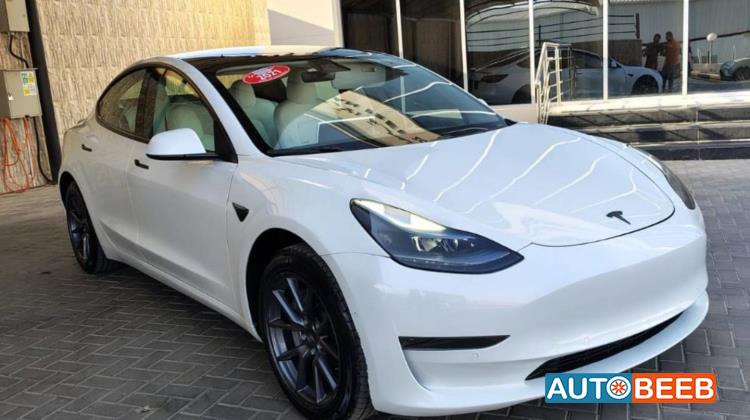 Tesla 3 2021