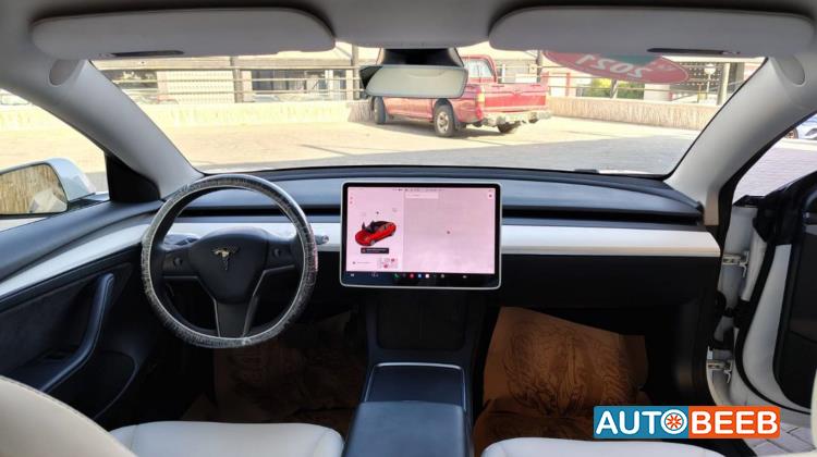 Tesla 3 2021