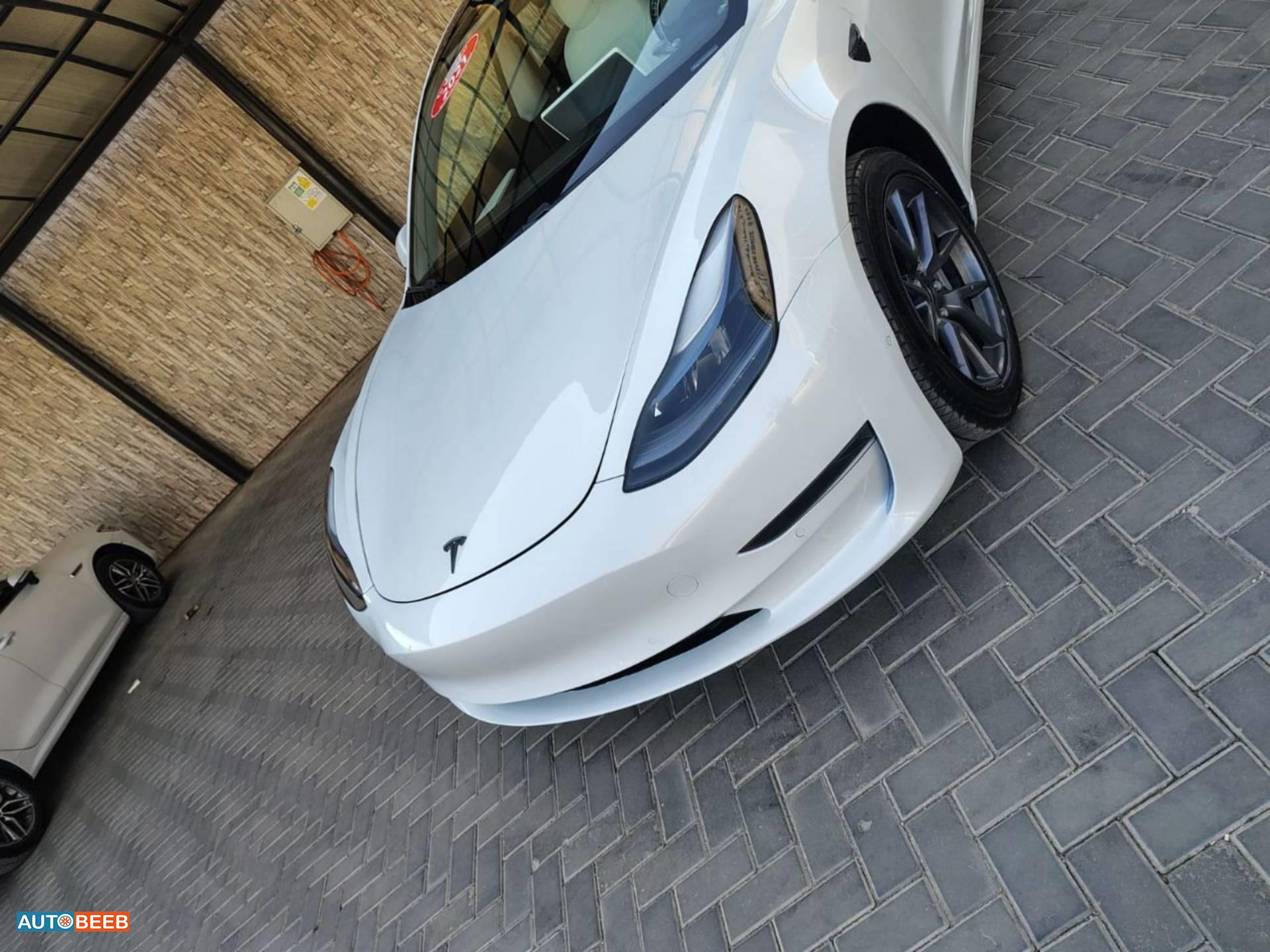Tesla 3 2021