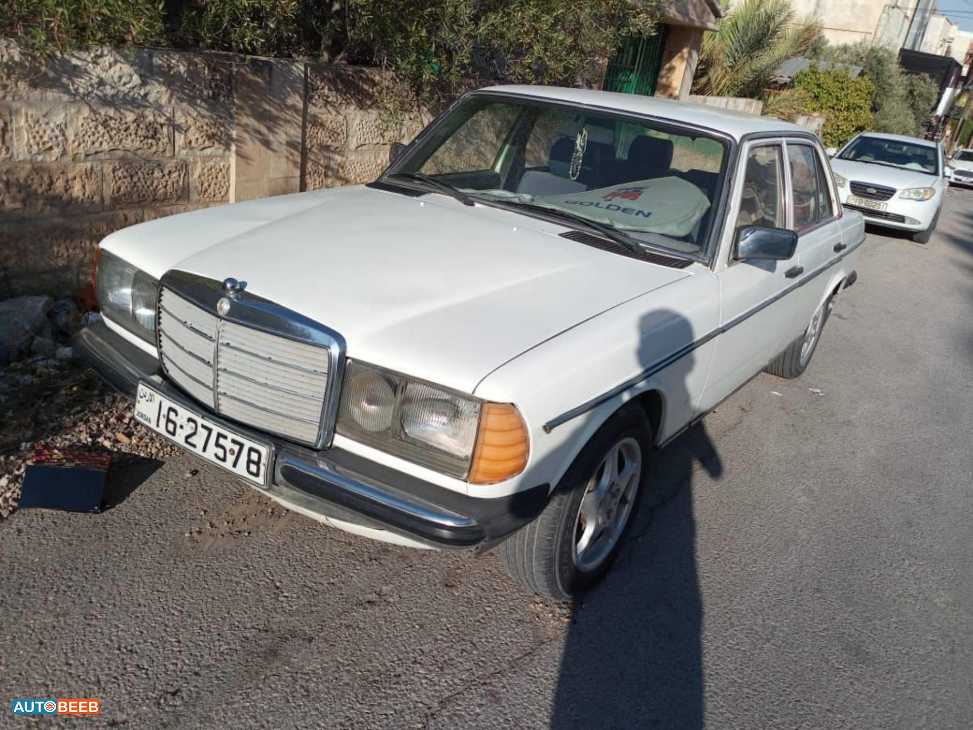 Mercedes Benz  1980