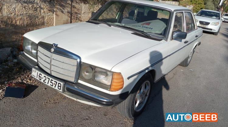 Mercedes Benz  1980
