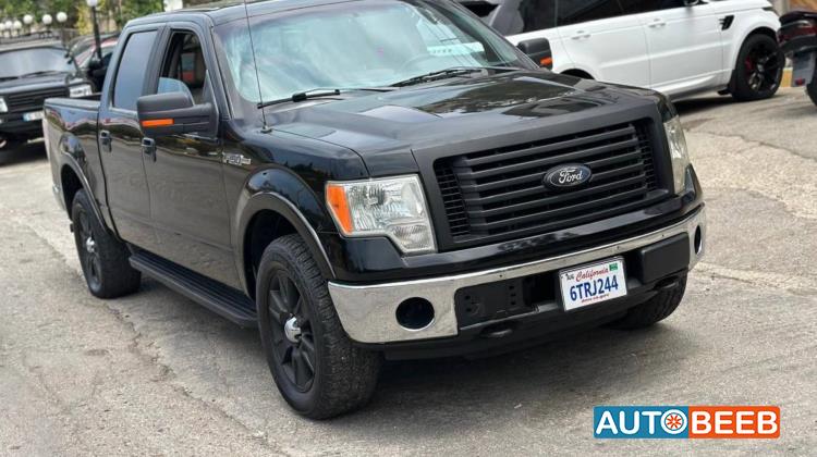 Ford F-150 2010