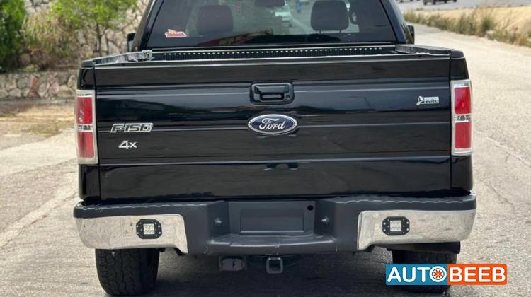 Ford F-150 2010