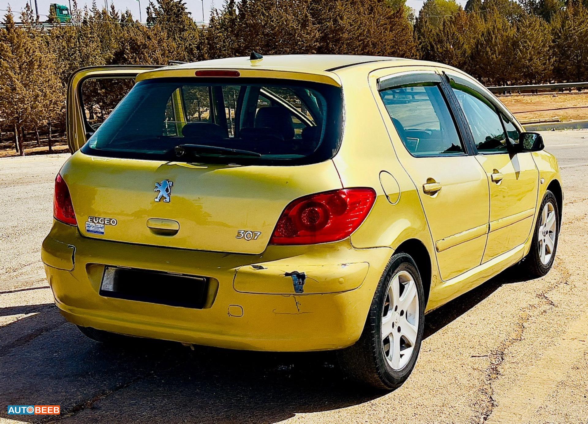 Peugeot 307 2004