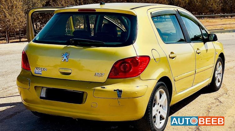Peugeot 307 2004