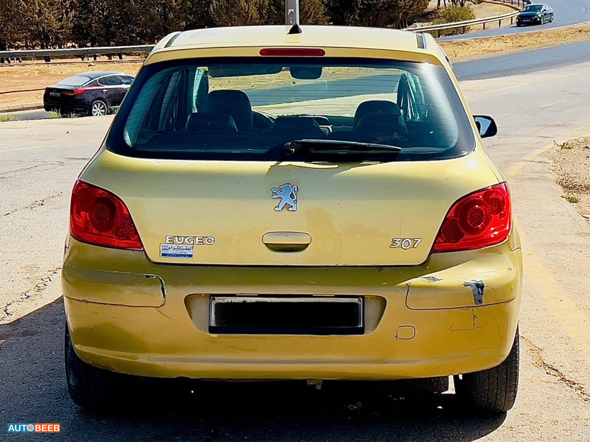 Peugeot 307 2004