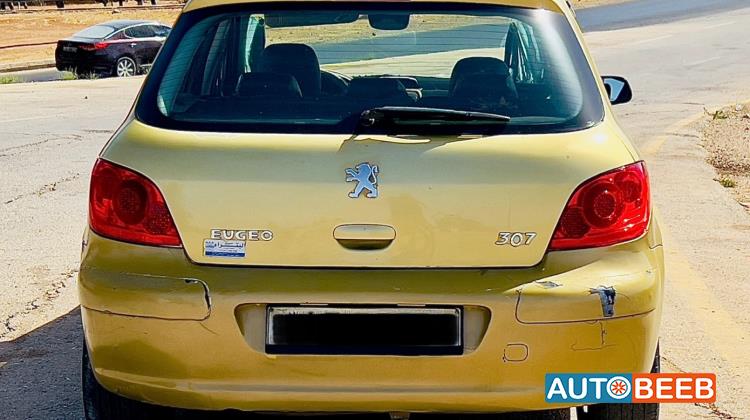 Peugeot 307 2004