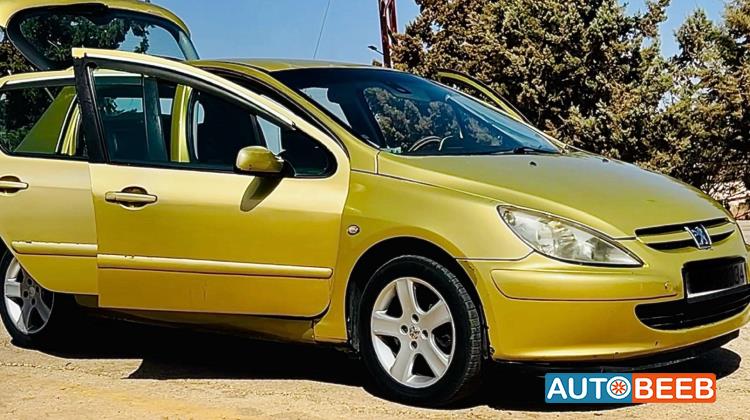 Peugeot 307 2004
