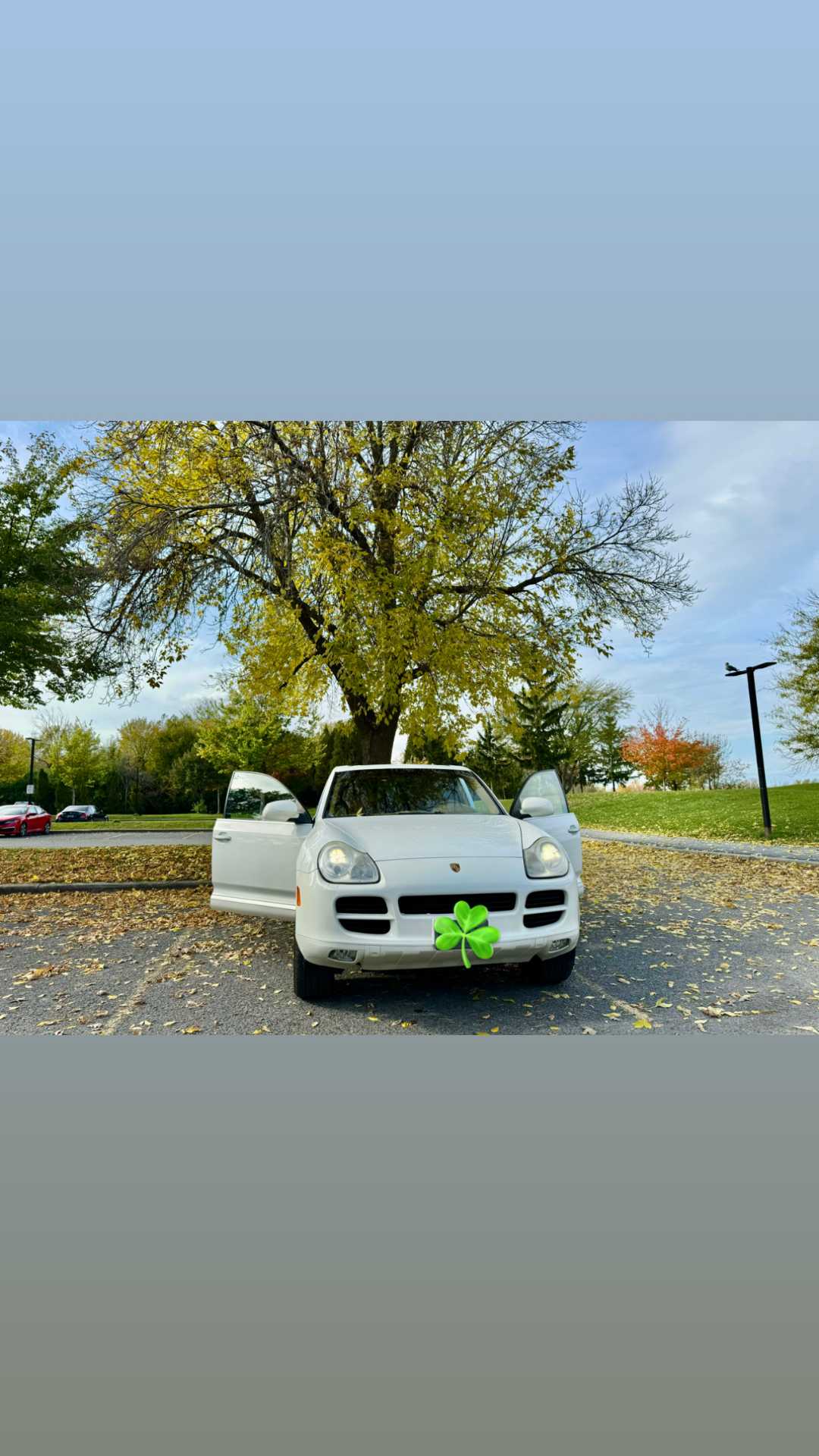 بورش كايين 2006