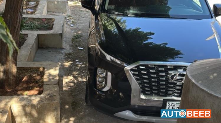 Hyundai Palisade 2020