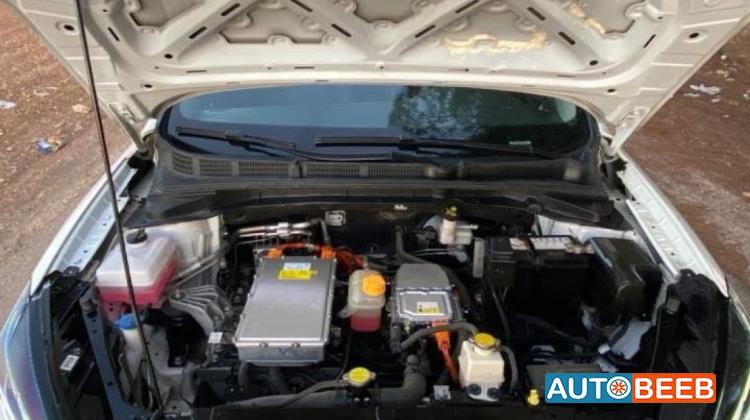 شانجان ايدو 2021