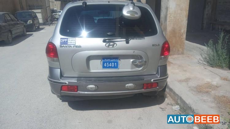 Hyundai Santa Fe 2005