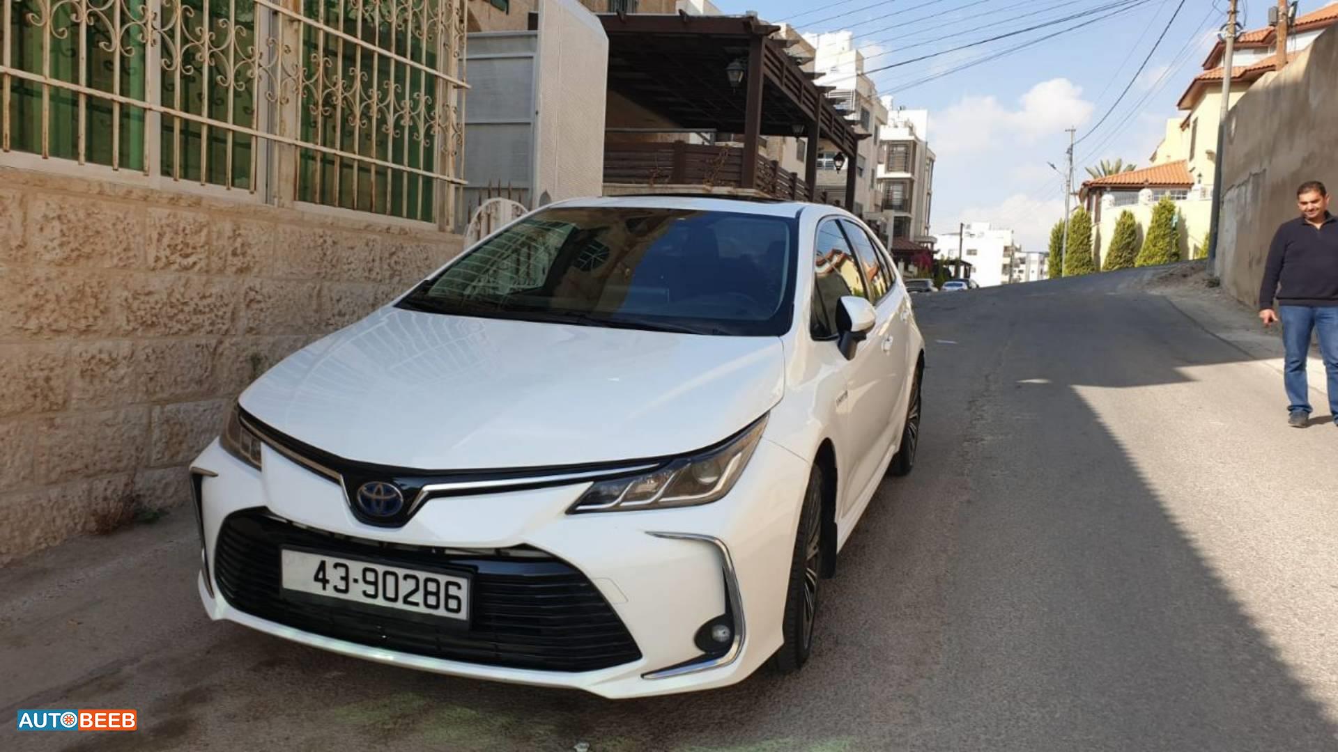 تويوتا كورولا 2019