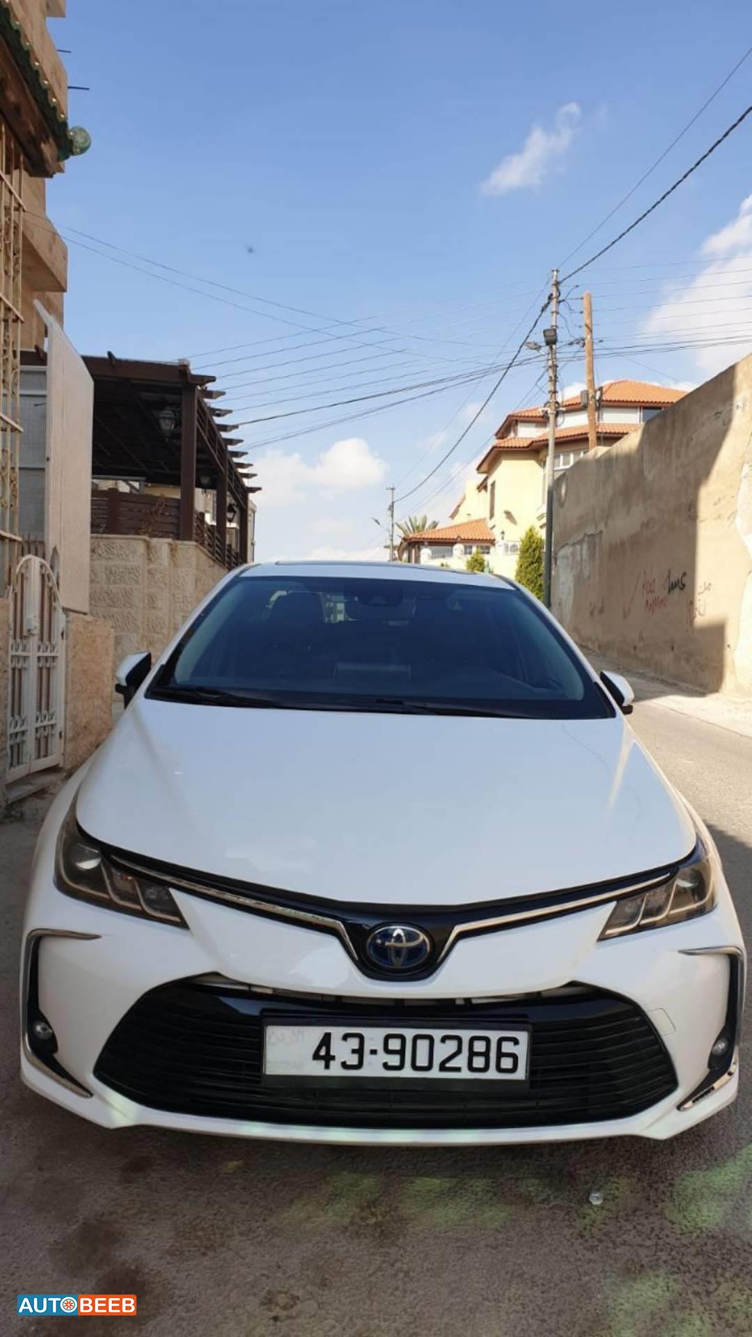 تويوتا كورولا 2019