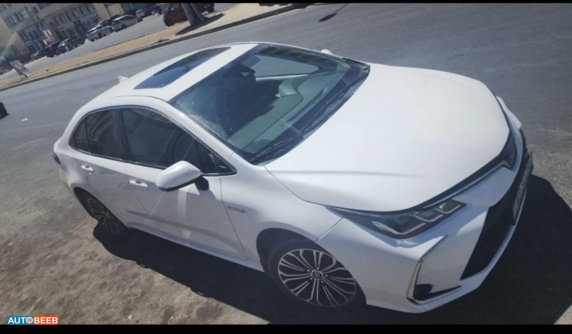 تويوتا كورولا 2019