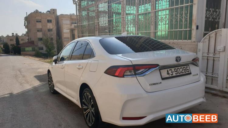 تويوتا كورولا 2019