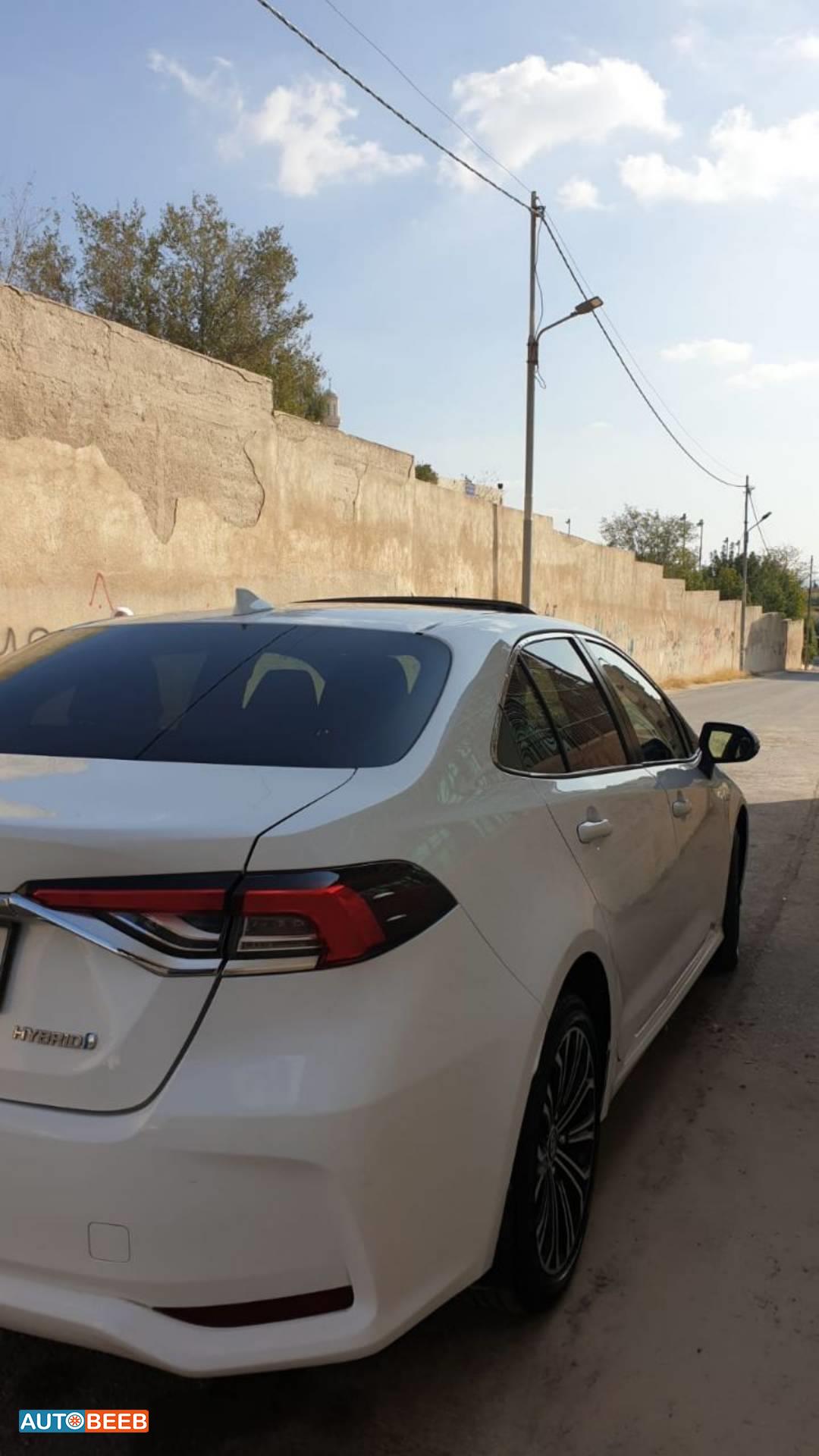 تويوتا كورولا 2019