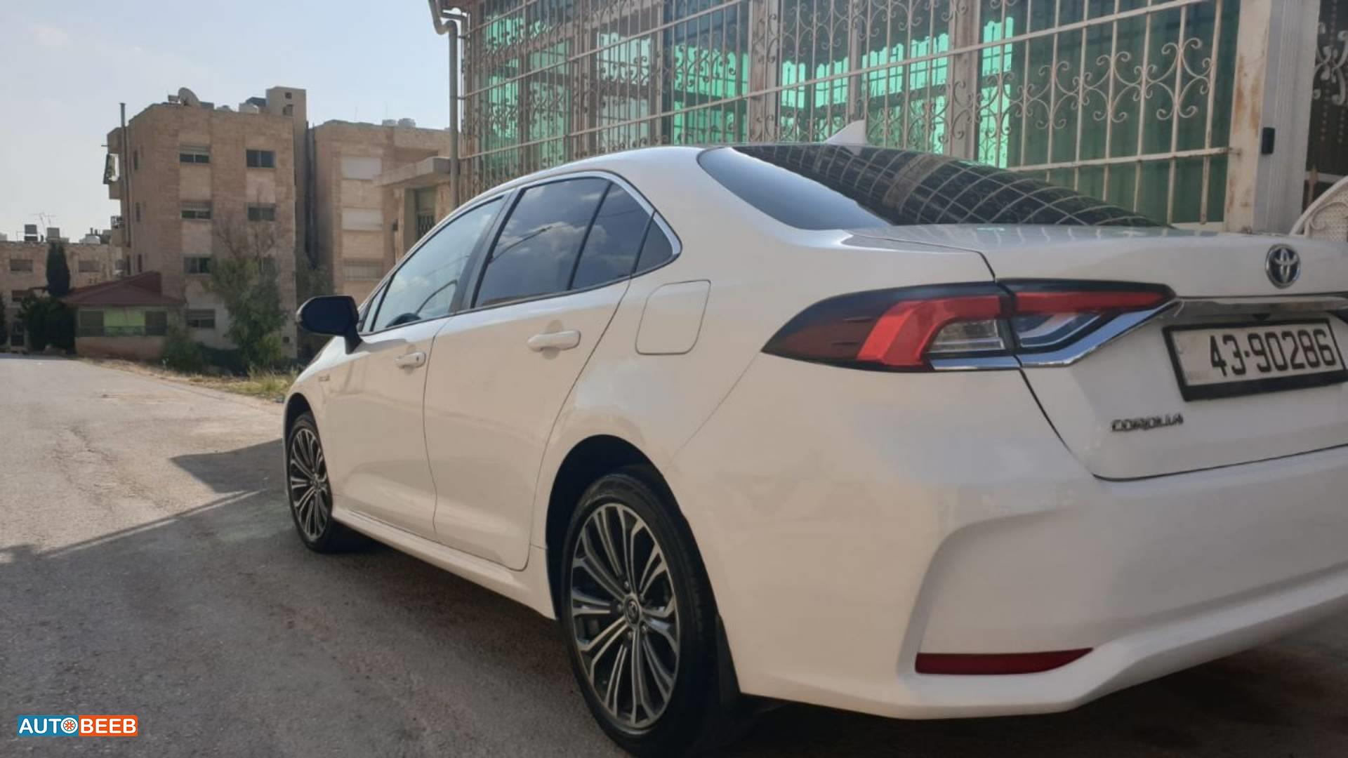 تويوتا كورولا 2019