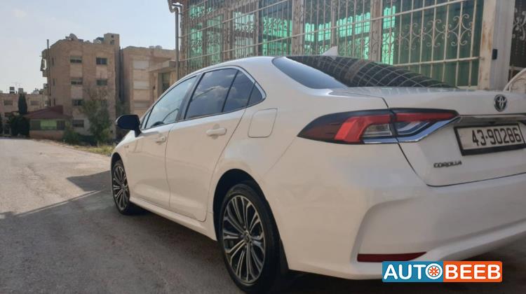 تويوتا كورولا 2019