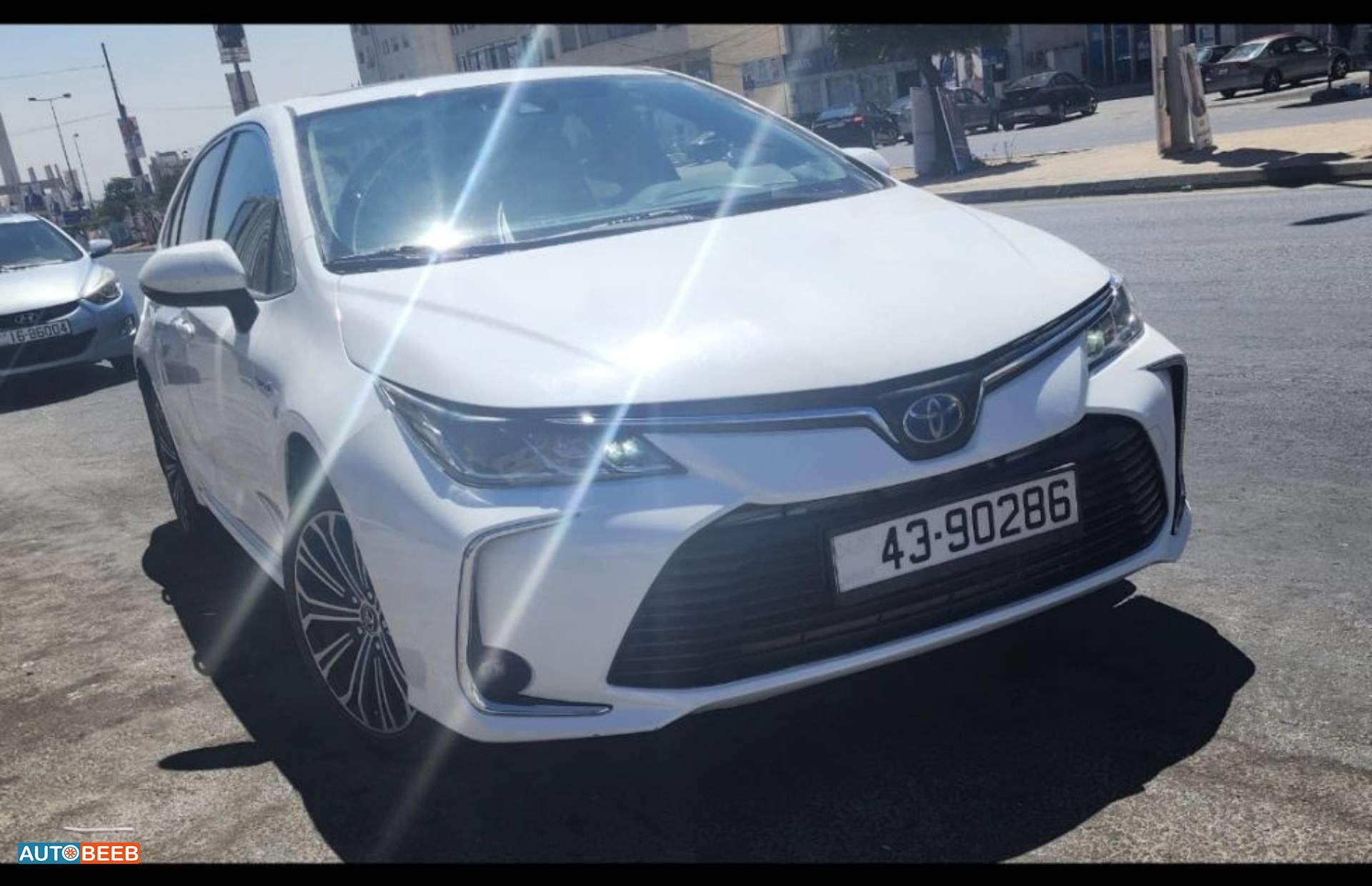 تويوتا كورولا 2019