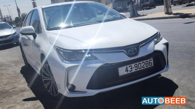 تويوتا كورولا 2019