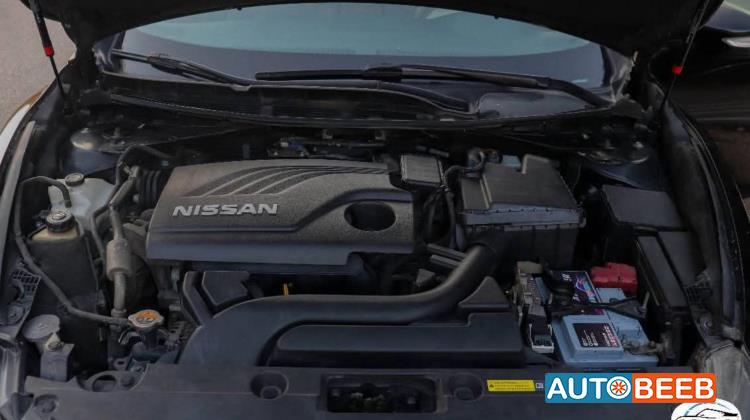 نيسان التيما 2017