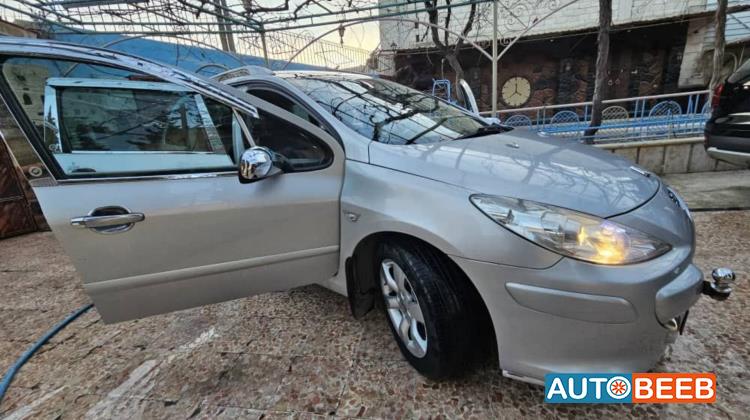 Peugeot 307 2006
