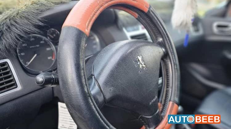 Peugeot 307 2006
