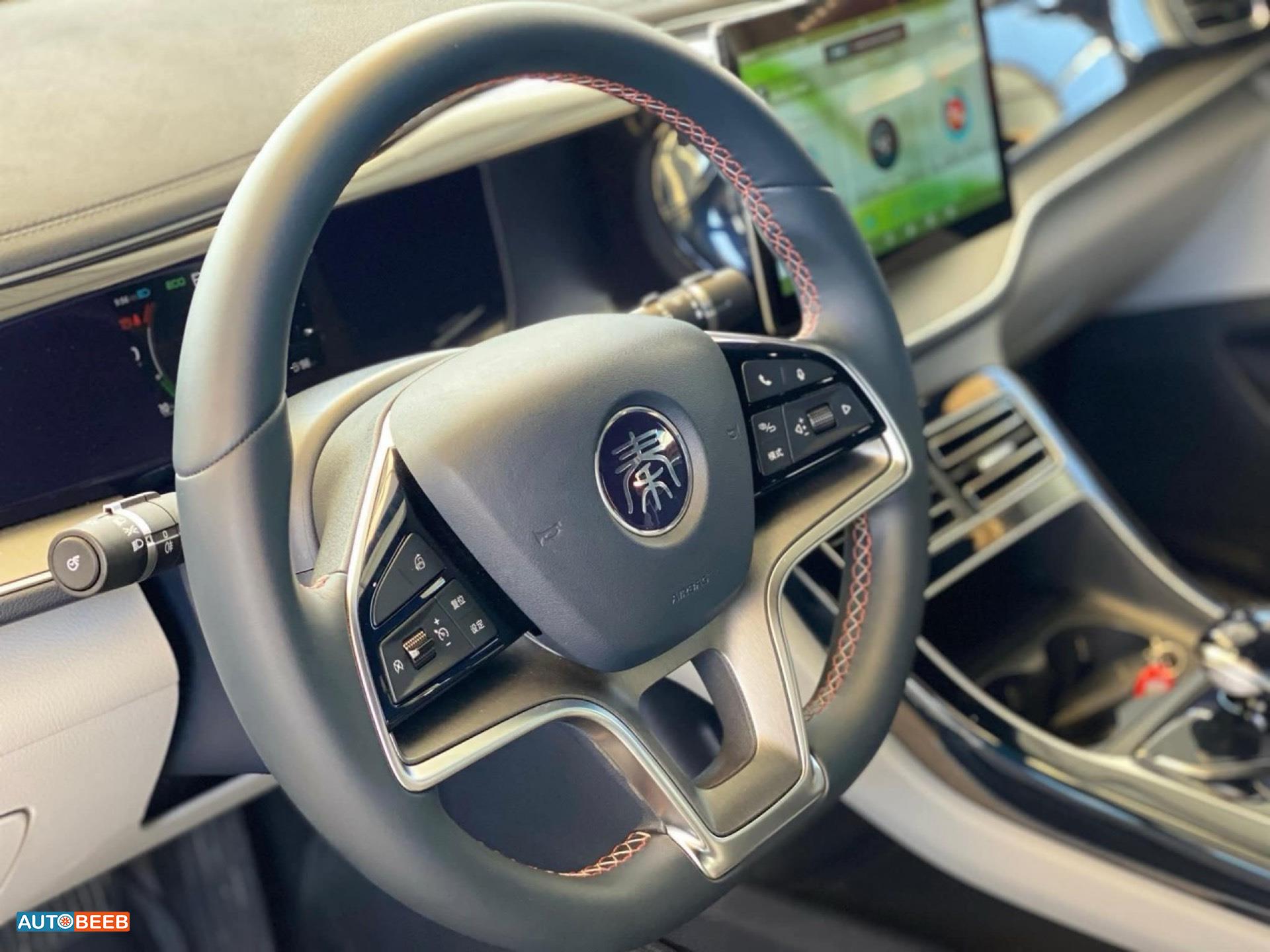 بي واي دي كين 2022