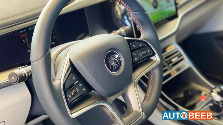 بي واي دي كين 2022