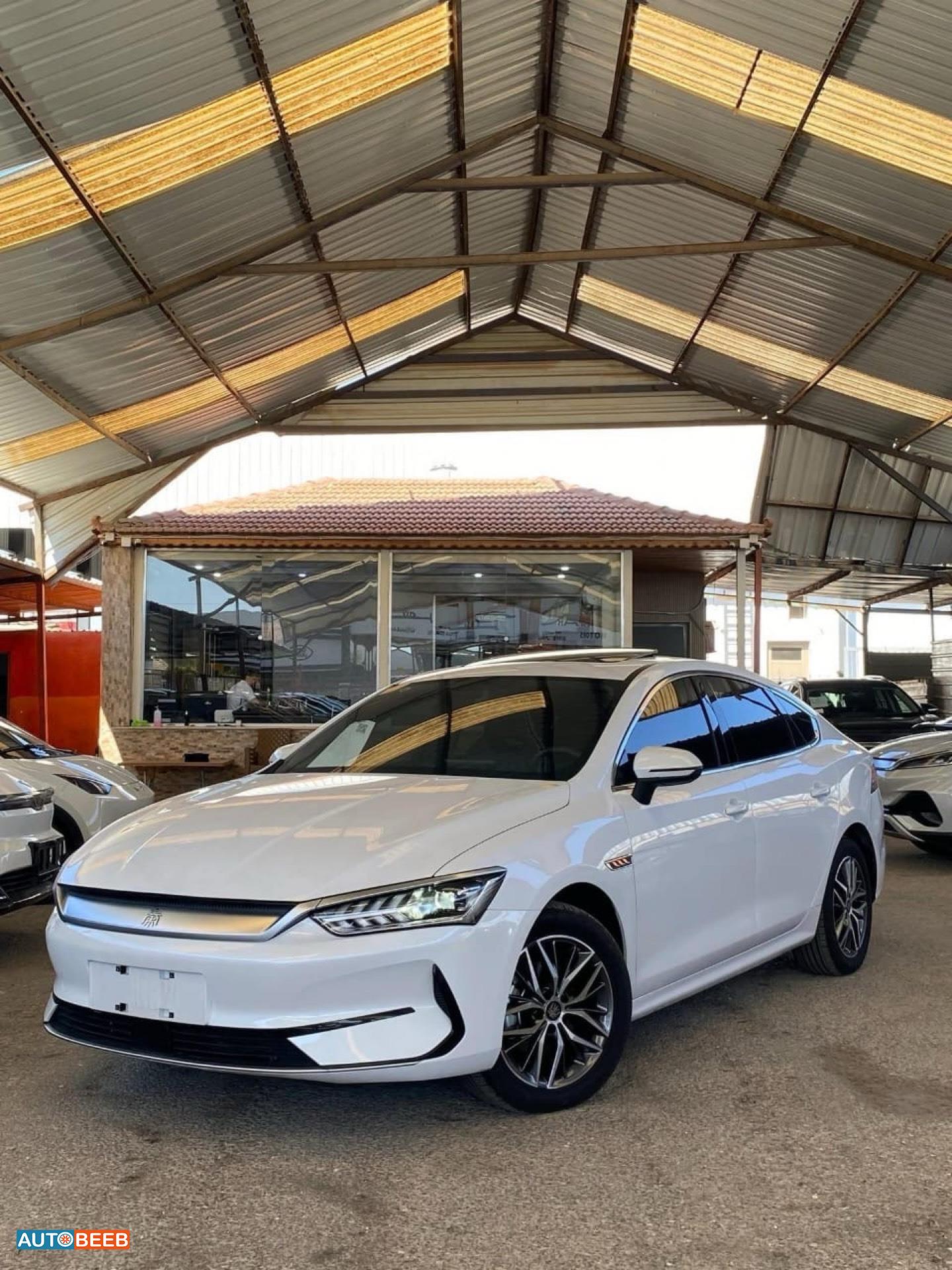 بي واي دي كين 2022