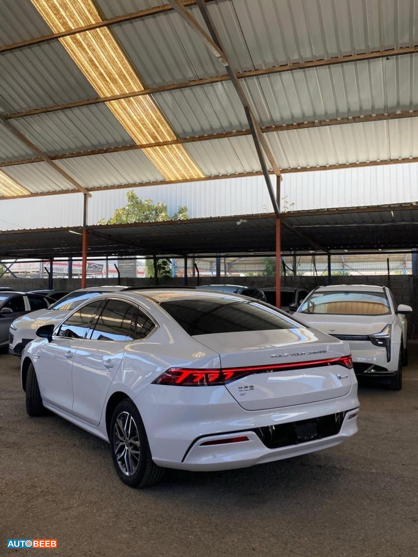 بي واي دي كين 2022