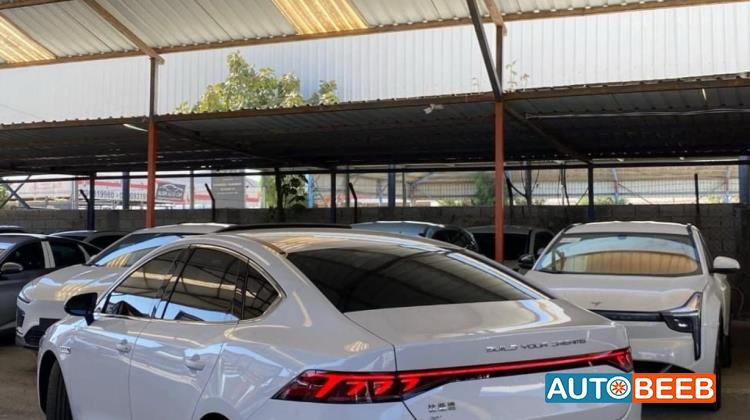 بي واي دي كين 2022