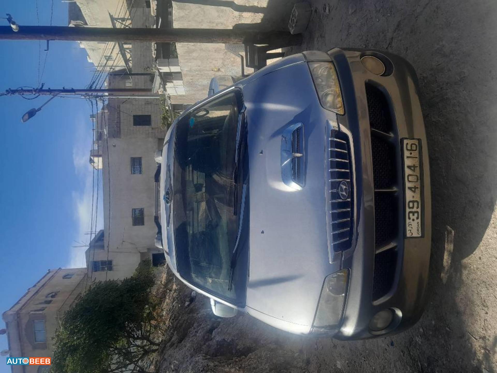 ميني فان هيونداي 2003