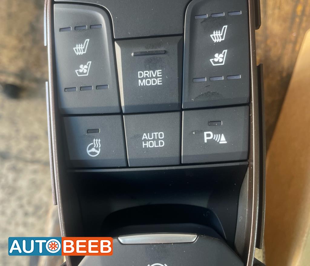 Electrical  Other Hyundai Ioniq