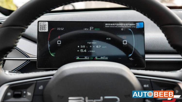 بي واي دي ديستروير 2025