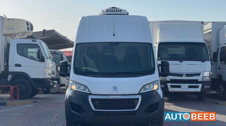 Minivan Peugeot 2021