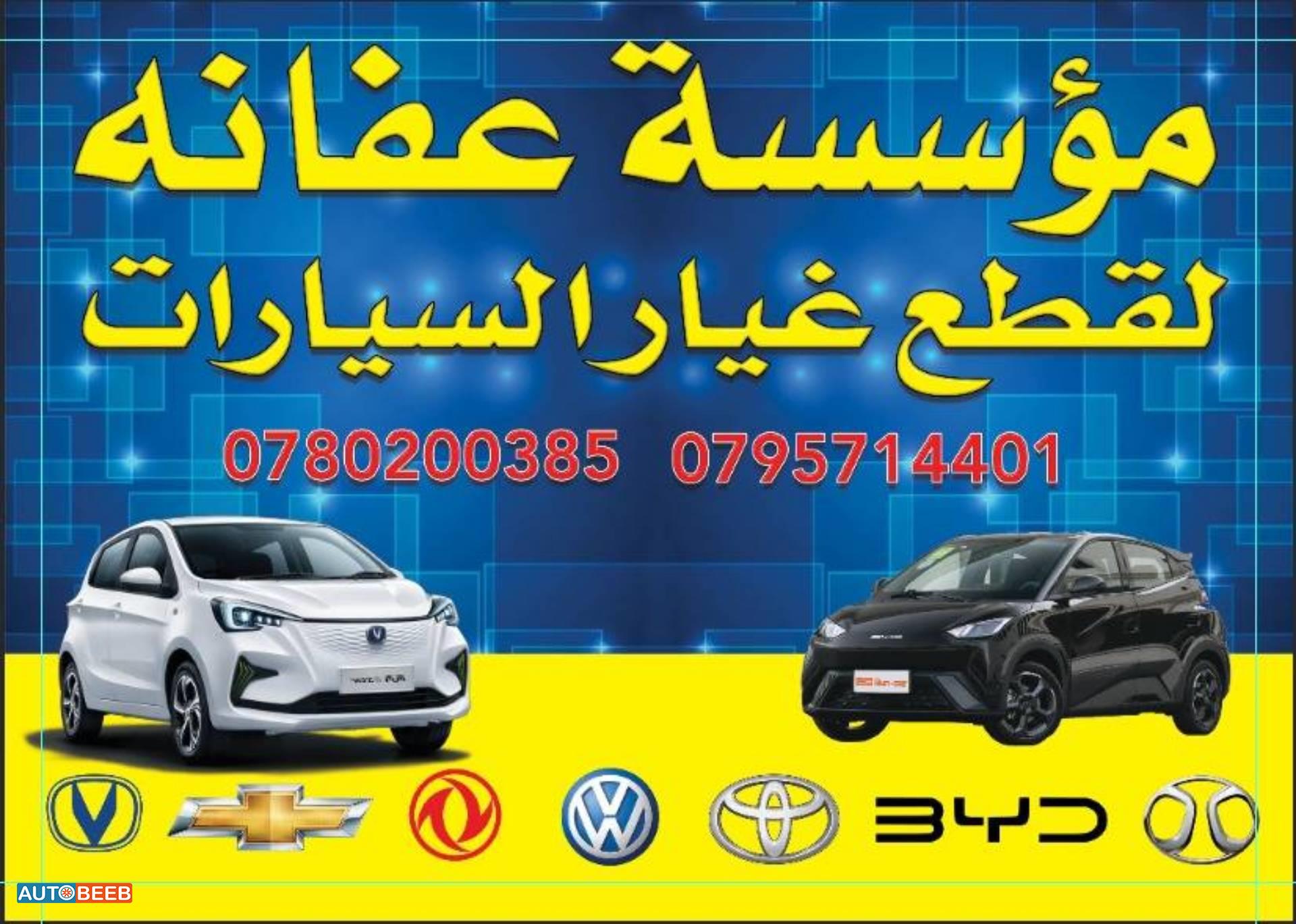 Body  Doors BYD Seagull