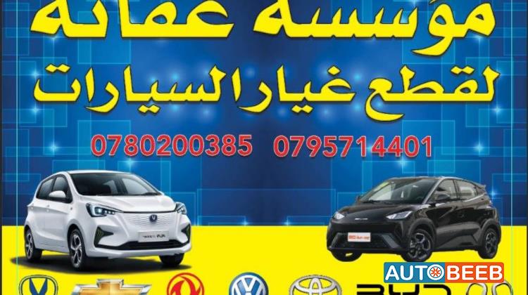 Body  Doors BYD Seagull