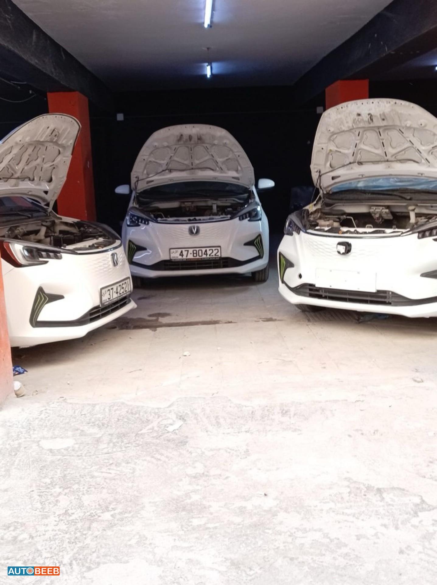 Body  Other CHANGAN E-Star