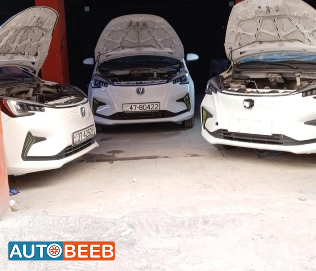 Body  Other CHANGAN E-Star