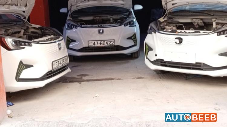 Body  Other CHANGAN E-Star